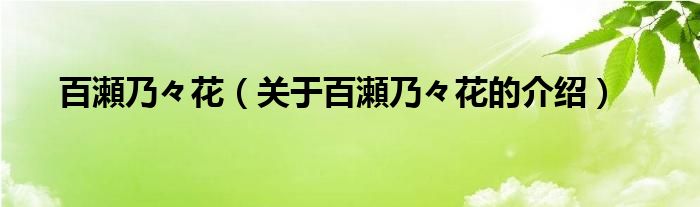 1,月乃濑·薇奈特·艾普莉尔是在漫画《珈百璃的堕落》及其衍生作品中