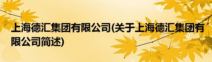 上海德汇集团有限公司关于上海德汇集团有限公司简述